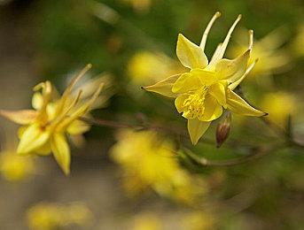 GOG喜加一：休闲作品《避风港公园》免费领取